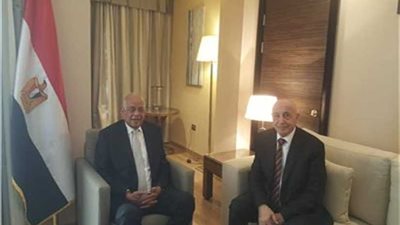 عبد العال: مصر تعتبر مجلس النواب الليبي الممثل الشرعي الوحيد للشعب الليبي