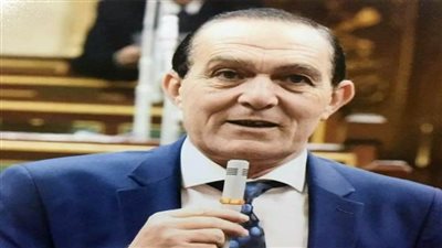 برلماني: المصانع العشوائية والمحلات غير المرخصة تصل لـ80%