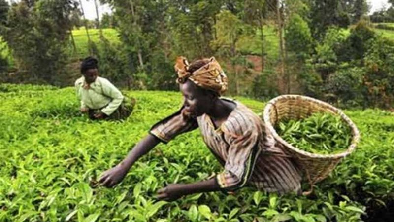 النزاعات التجارية