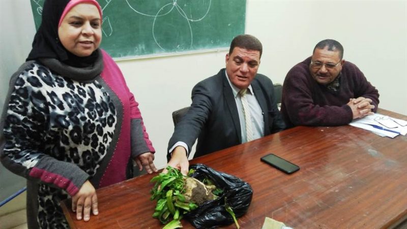 بوابة روز اليوسف