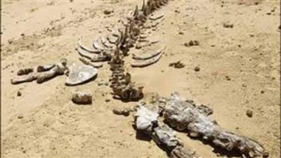 تعرف ايه عن المحميات الطبيعية؟