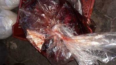 ضبط 3 أطنان كبدة وأسماك فاسدة بثلاجة في قليوب