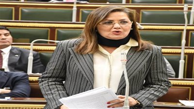 وزيرة التخطيط أمام 