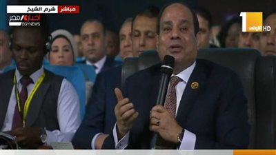 عاجل.. السيسي: مصر كانت ستصبح أكثر دمارًا من الدول الأخرى (فيديو)
