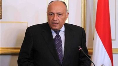 وزير الخارجية: ملف الأمن الغذائي يحظى بأولوية لدى الدولة المصرية