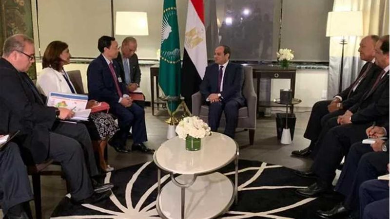 السيسي يبحث مع مدير