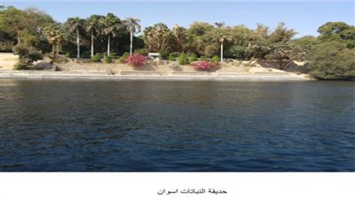  د. إيمان الجمال تكتب: جزر بلاد الذهب 