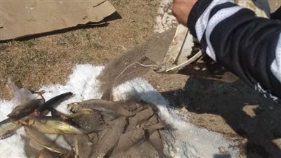 الصحة: غلق منشأتين غذائيتين بفاقوس