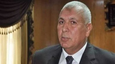 محافظ الوادي الجديد يوجه بتوفير الأسماك من مفيض توشكى لأسواق المحافظة
