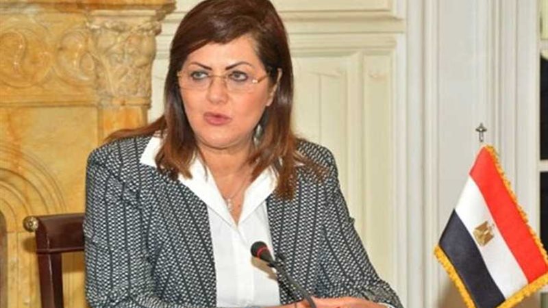 وزيرة التخطيط في