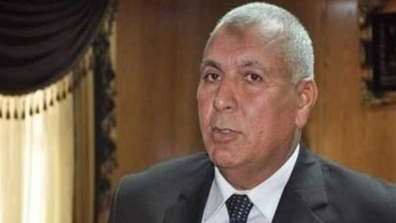 محافظ الوادي الجديد