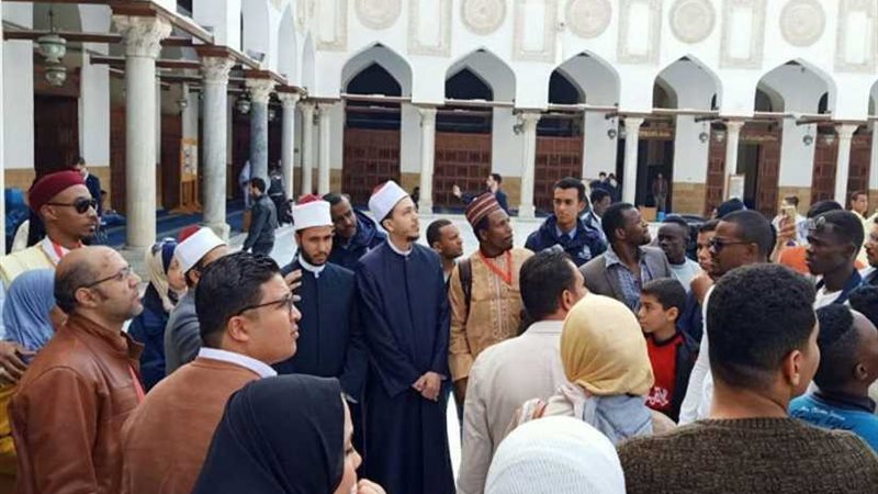الشباب والرياضة تنظم