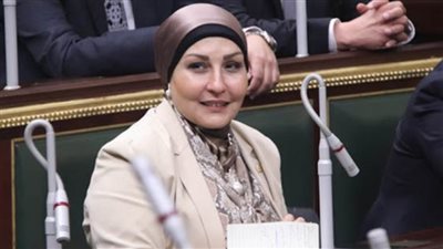 برلمانية تطالب بخفض أسعار الطاقة للمصانع