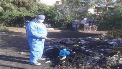صحة الشرقية تكافح الذباب وناقلات الأمراض بالمحافظة