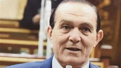 برلماني: توصيات منتدى شباب العالم ستكون محل تطبيق على أرض الواقع