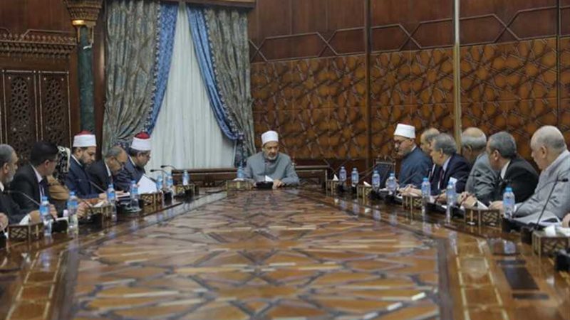 الإمام الأكبر: دعم