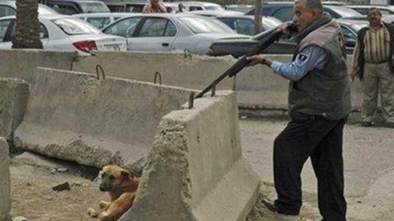 حقيقة قتل 295 ألف