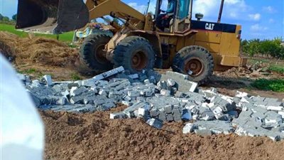 إزالة 19 حالة تعدٍ على الأراضي الزراعية في حملة بالبحيرة