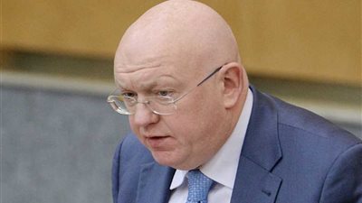 موسكو تدعو إلى إرسال بعثة من مجلس الأمن الدولي إلى منطقة الصراع الفلسطيني -الإسرائيلي