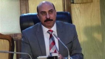 محافظ أسوان يعرض المطالب الجماهيرية على الوزراء المختصين