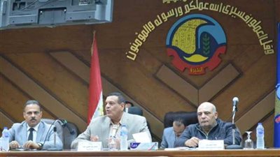 نواب لرؤساء المدن في قطاعات الكهرباء والنظافة والأزمات بالبحيرة