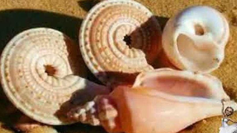 نفتح المندل ونوشوش