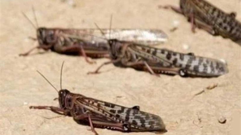 الصومال تتعرض لأسوأ