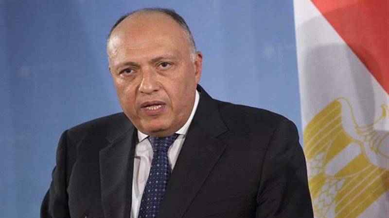 وزير الخارجية ونظيره