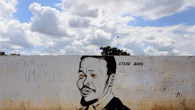 ستيف بيكو.. ماذا