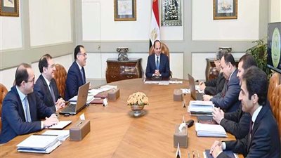 الرئيس السيسي يوجه بالتركيز على مشروعات البنية الأساسية للبترول والغاز