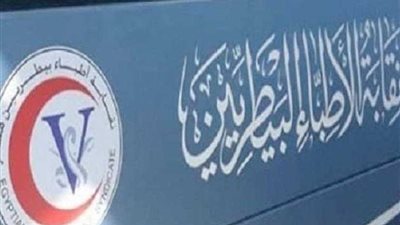 غدًا.. فتح باب الترشح بانتخابات التجديد النصفي لـ