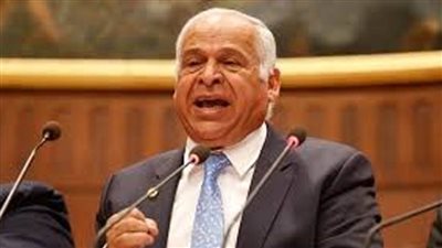 برلماني يطالب بالكشف الطبي على العمالة الأجنبية في مصر 