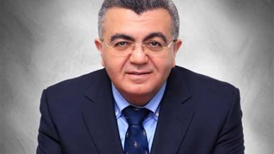 خبير دولي يطالب بإجراء الانتخابات المحلية للقضاء على التعدي على الأراضي