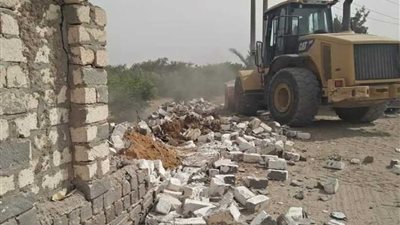 إزالة 3 حالات تعدٍ على الأراضي الزراعية في مرحلة المهد بالبحيرة