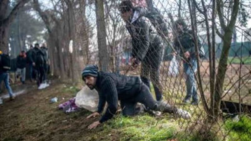 بوابة روز اليوسف