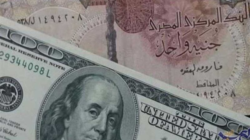 خبراء يكشفون سر زيادة