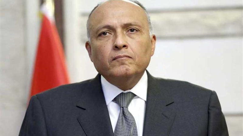 وزير الخارجية سامح