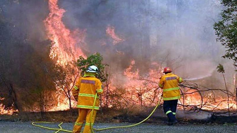 ارتفاع حصيلة قتلى