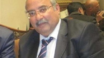 أمين خبراء البيئة العرب: التواجد العربي الإفريقي هام لمواجهة التحديات