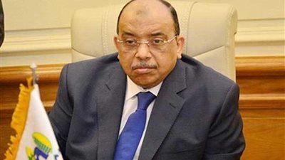 شعراوي : سنواصل العمل مع كافة العاملين بوزارة التنمية المحلية لتحسين الخدمات المقدمة للمواطنين