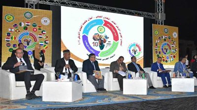 منتدى الشباب العربي الإفريقي العاشر يدعم السياحة بجولة بمعابد الأقصر