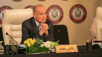 أبو الغيط : لا يصح أن تنسحب إثيوبيا من مفاوضات سد النهضة لأنها قضية دولية