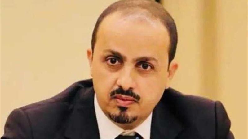 الحكومة اليمنية تكشف