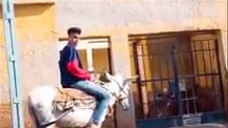 شاب يدخل مدرسة بالدقهلية