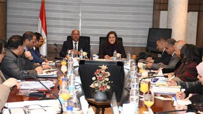 وزيرا النقل والتخطيط: توطين صناعة الوحدات السككية في مصر