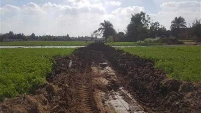 الجيزة تسترد مساحة 3 أفدنة أملاك دولة متعدى عليها منذ 22 عاما بمنشأة القناطر