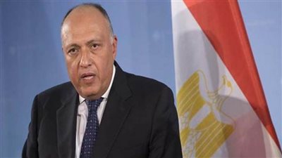 مصر: بنيان النظام العربي والإقليمي بات معرضاً لمخاطر وجودية 