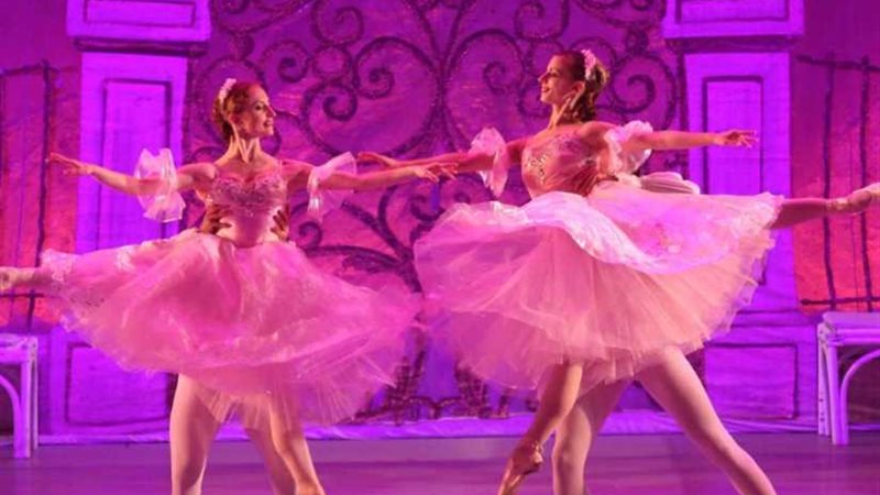 أحلام كلارا وإبهار