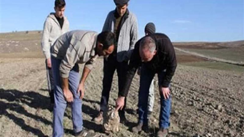 مزارع تركي يعثر على