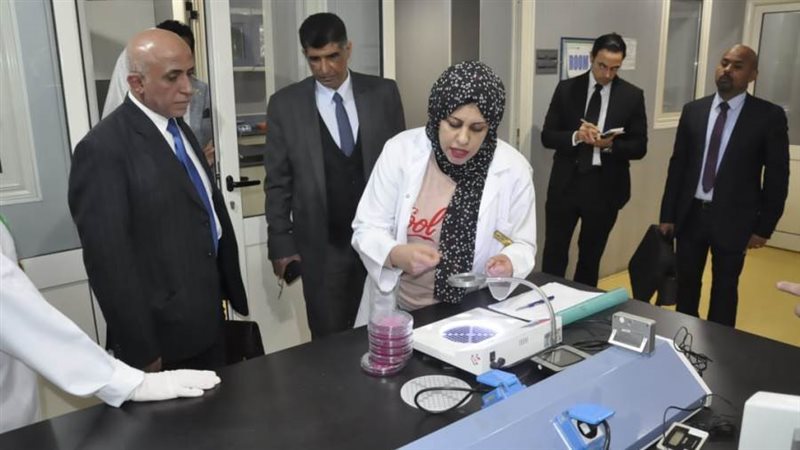 بحث سبل الاستجابة